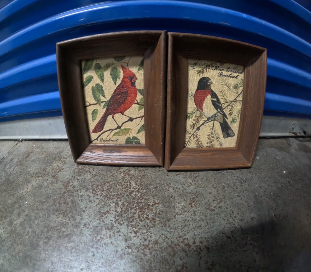 Vintage KayDee Handprints Pure Linen Bird Framed Art Pair Cardinal Grosbeak